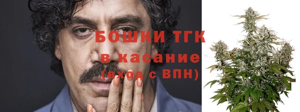 PSILOCYBIN Козельск