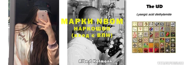 PSILOCYBIN Козельск