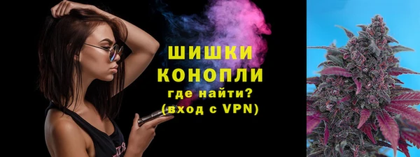 стафф Козловка