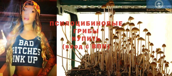PSILOCYBIN Козельск