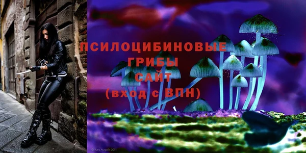стафф Козловка