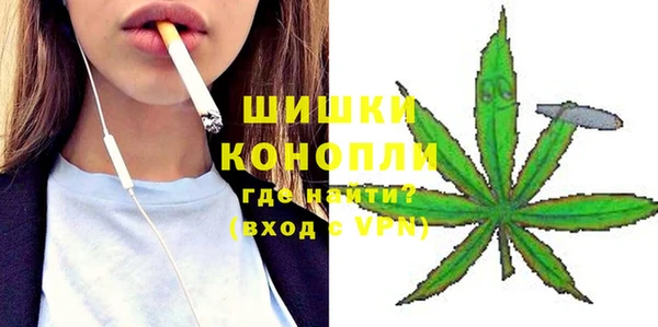 PSILOCYBIN Козельск