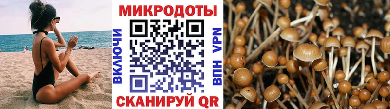 Купить где  Новая Ляля  Галлюциногенные грибы GOLDEN TEACHER 