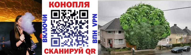 Купить  Новая Ляля  Бошки Шишки семена 